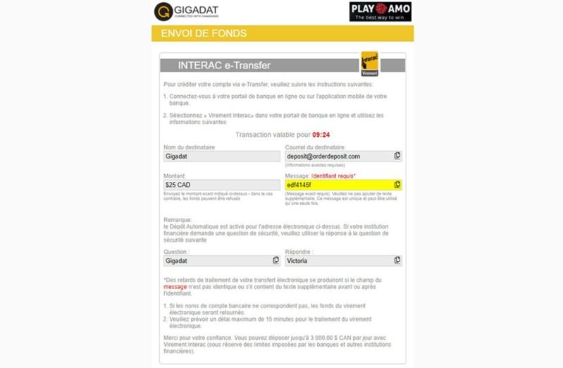 Casinos en ligne canadiens : pourquoi choisir Interac comme méthode de paiement - aperçu