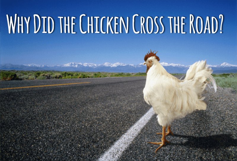 Chicken road, chicken road demo