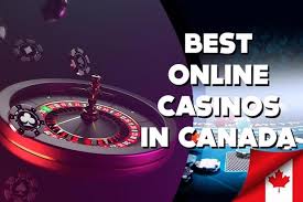 Discover the Best Live Casino Sites for an Unmatched Gaming Experience -336102901 Discover the Best Live Casino Sites for an Unmatched Gaming Experience -336102901
