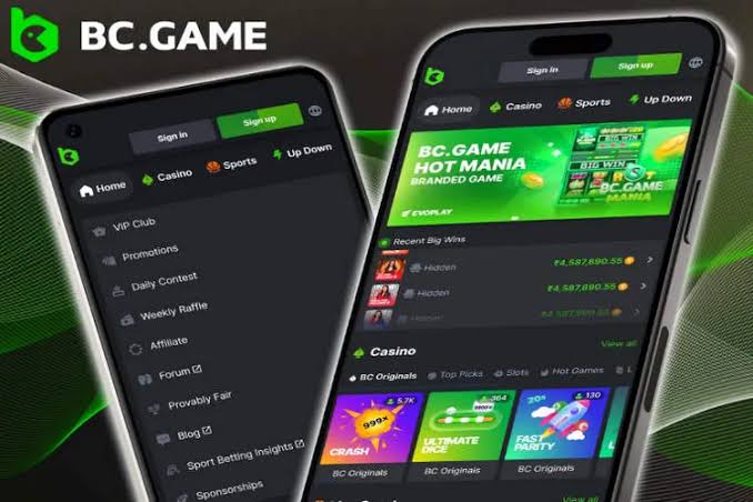 Exploring the BC.Game Platform in France A Comprehensive Guide